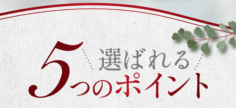 選ばれる5つのポイント